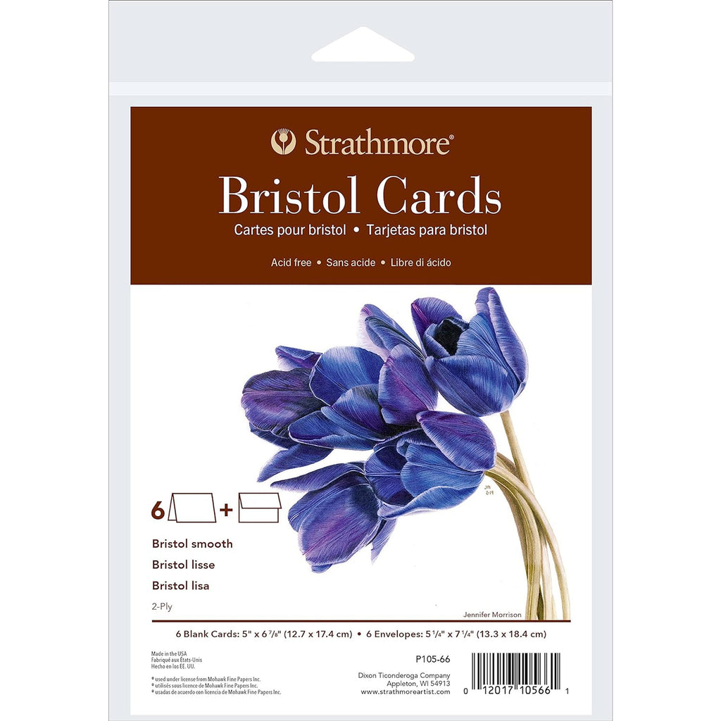 Bristol Cards & Envel 5x6.875in 400 Series 6pk
