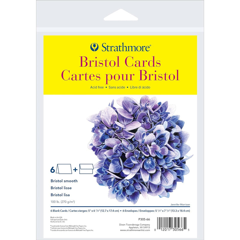 Bristol Cards & Envel 6pk 5x6.875in
