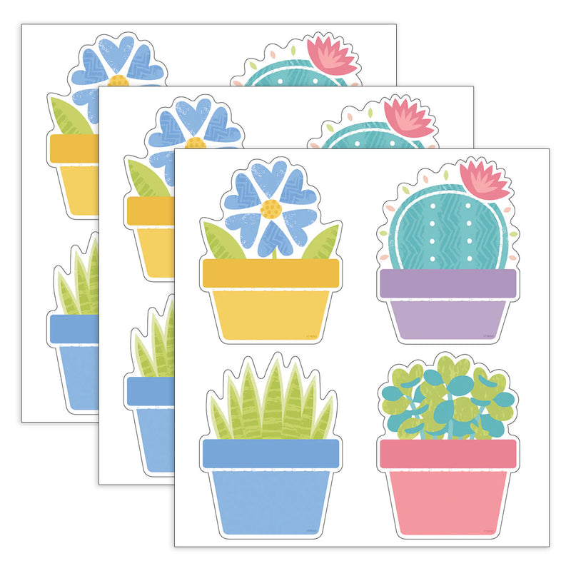 Garden Plants Classic Accents® Variety Pack, 36 Per Pack, 3 Packs