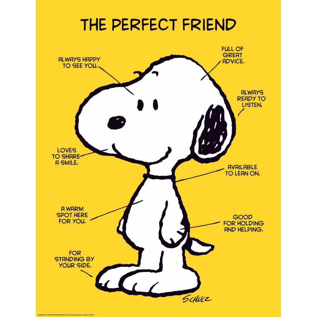 Peanuts The Perfect Friend 17x22 Poster