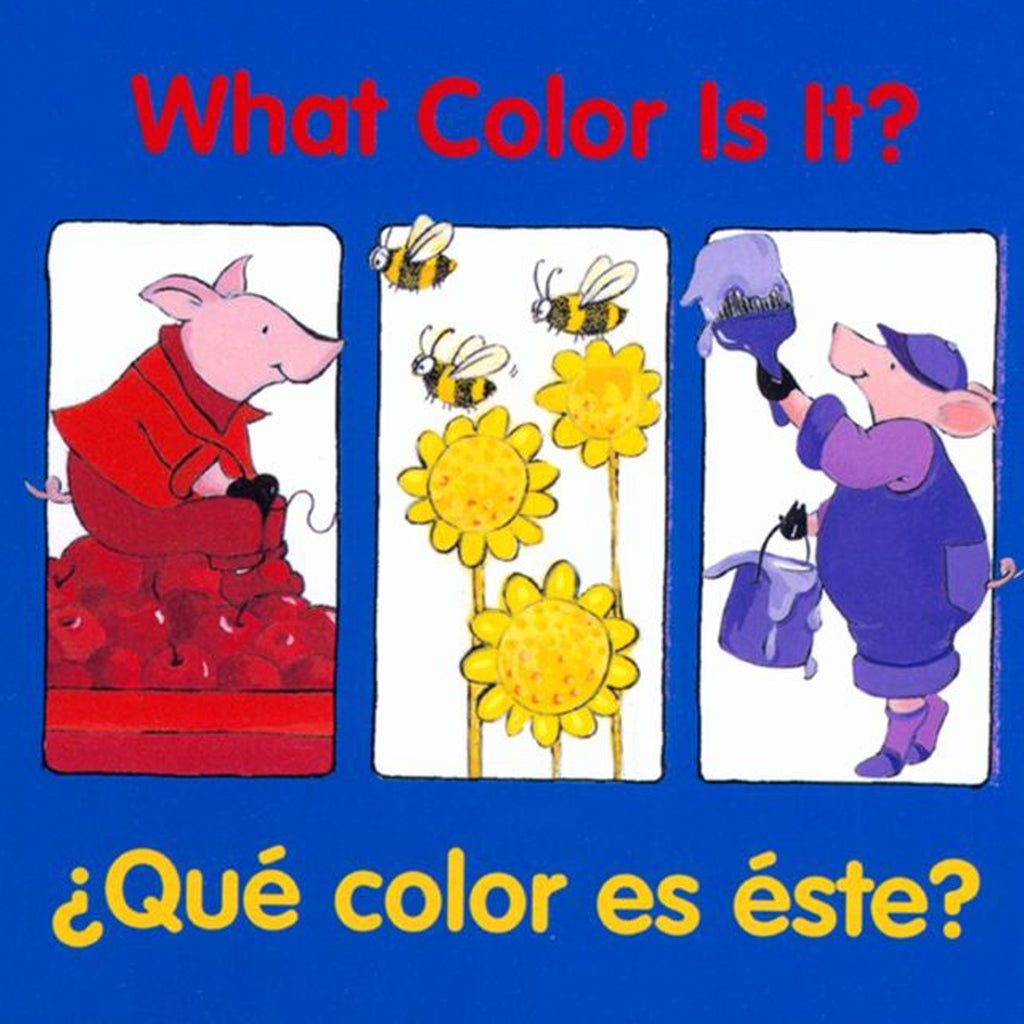 What Color Is It Bilingual Book