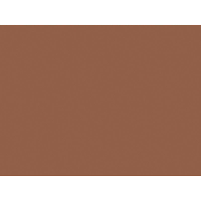 (2 Pk) Tru Ray 18x24 Warm Brown Construction Paper 50sht Per Pk