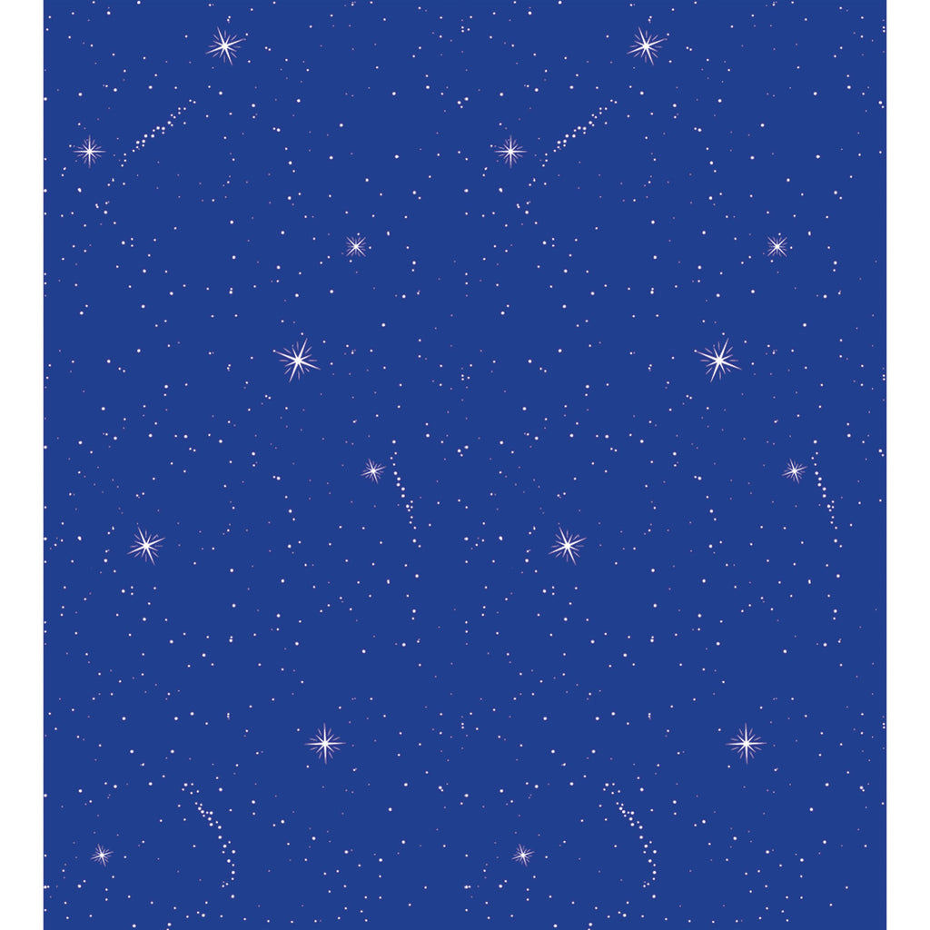 Fadeless 48 X 50 Roll Night Sky