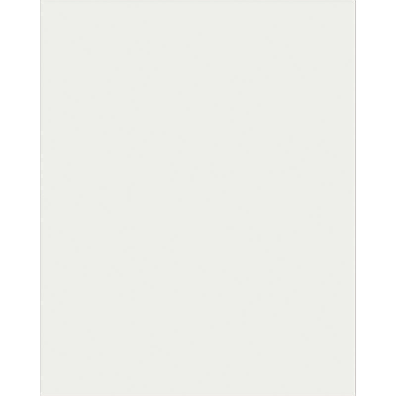 Plastic Poster Brd 22x28 Clear 25sh