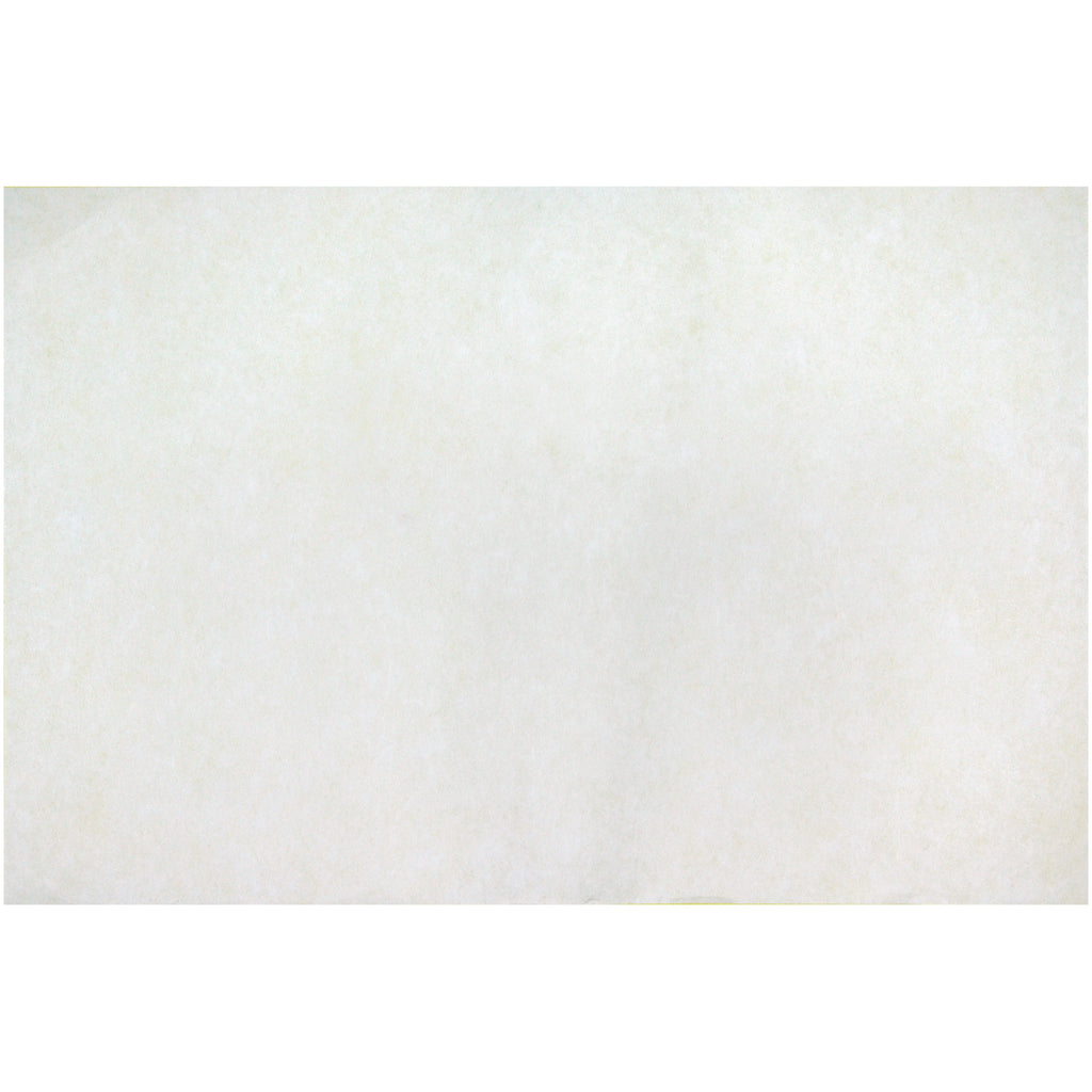 Color Diffusing Paper 12 X 18 50sht