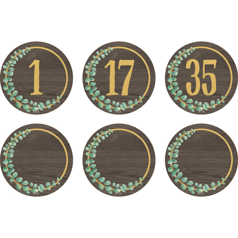 Eucalyptus Numbers Magnetic Accents, 2-1-4", Pack of 42