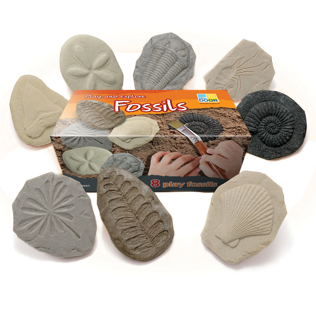 Play And Explore Fossils