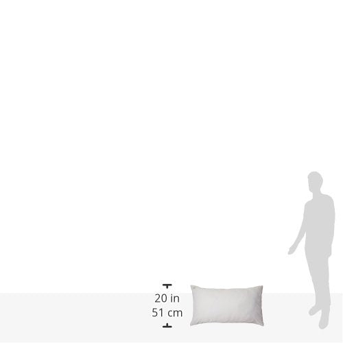 New CleanRest PRO, Queen, Zippered Pillow Protector - Lab Tested Bed Bug Proof, Hypoallergenic, Noiseless - Patented Zipper Security - 10 Year Warranty…