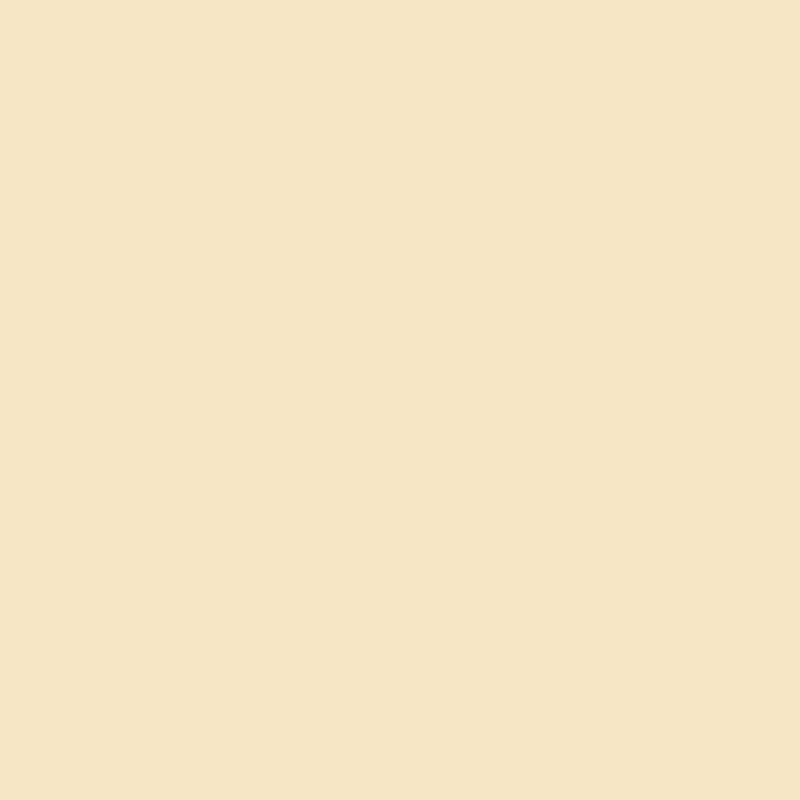 Acrylic Paint Matte Antique Wht 8oz Apple Barrel