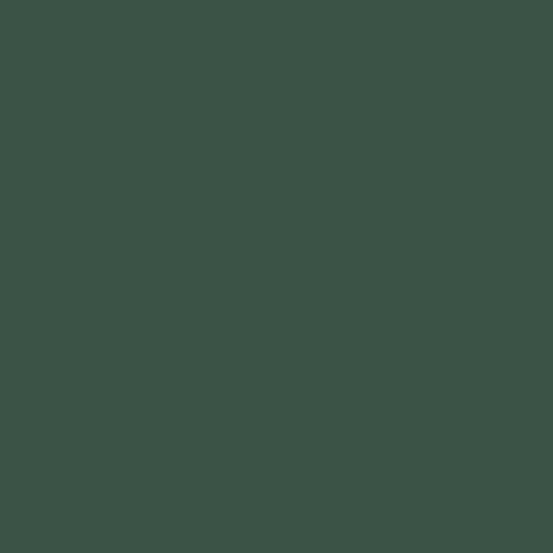 Acrylic Paint Matte Hunter Grn 8oz Apple Barrel