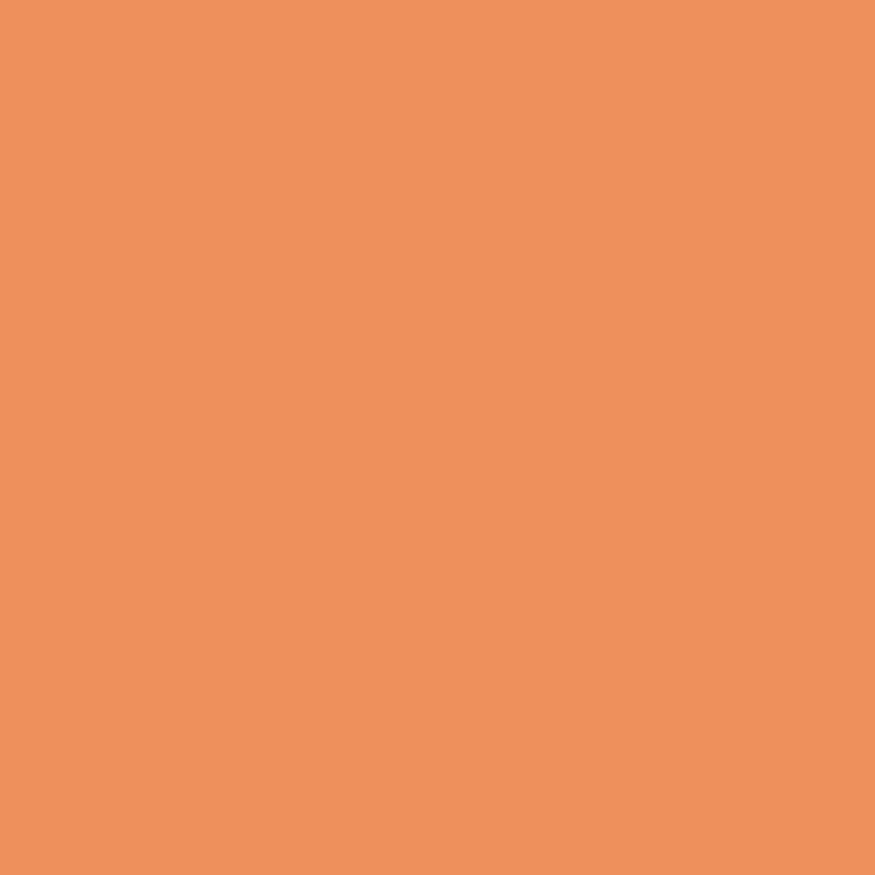 Acrylic Paint Matte Pumpkin Org 8oz Apple Barrel
