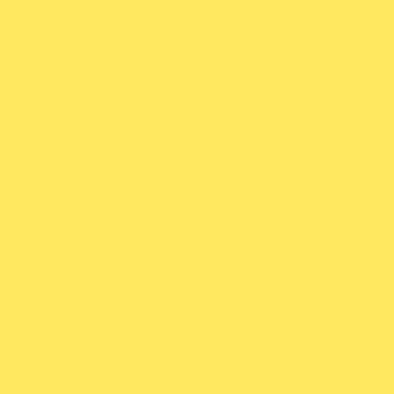 Acrylic Paint Matte Canary Ylw 8oz Apple Barrel