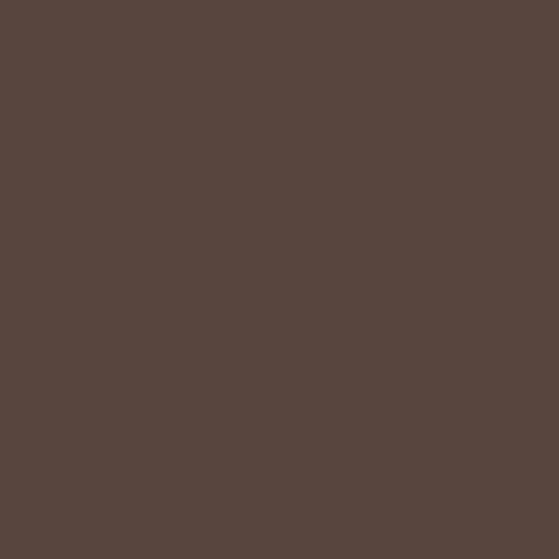 Acrylic Paint Matte Burnt Umber 8oz Apple Barrel