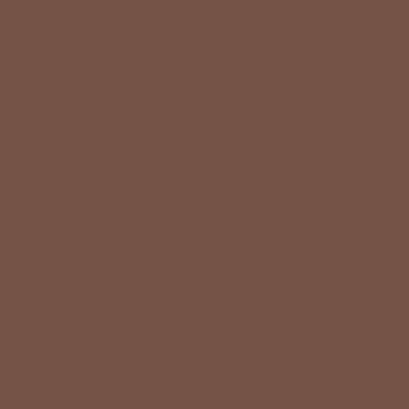 Acrylic Paint Matte Brn Oxide 16oz Apple Barrel