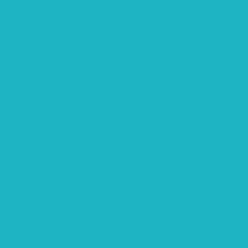Acrylic Paint Matte Caribbean 16oz Apple Barrel