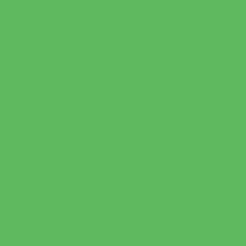 Acrylic Paint Matte Spring Grn 16oz Apple Barrel