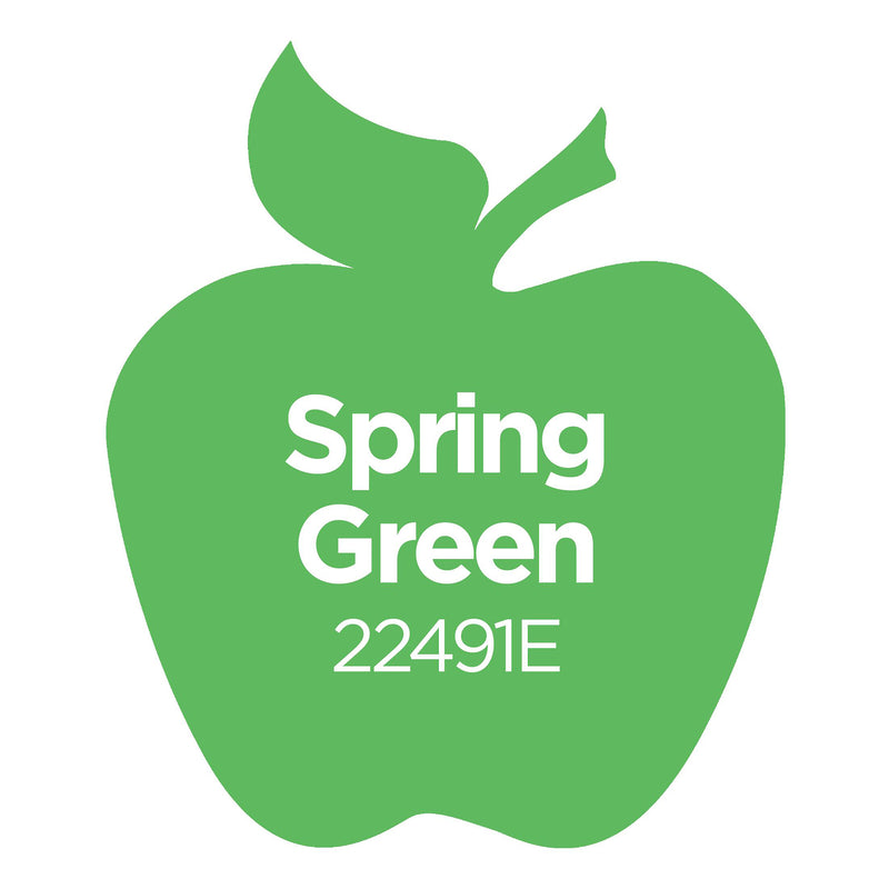 Acrylic Paint Matte Spring Grn 16oz Apple Barrel