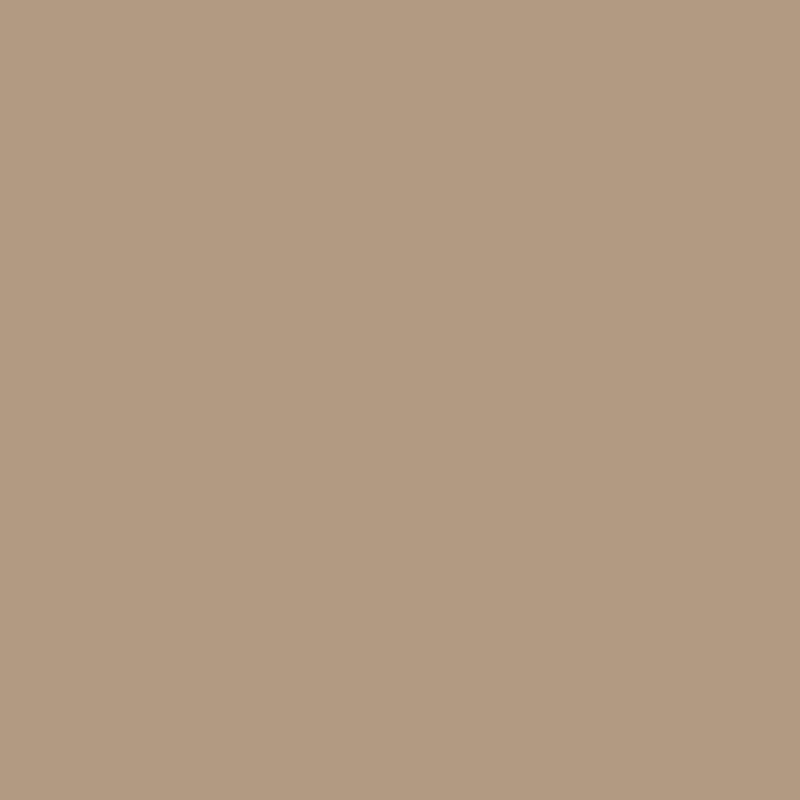 Acrylic Paint Matte Country Tan 8oz Apple Barrel