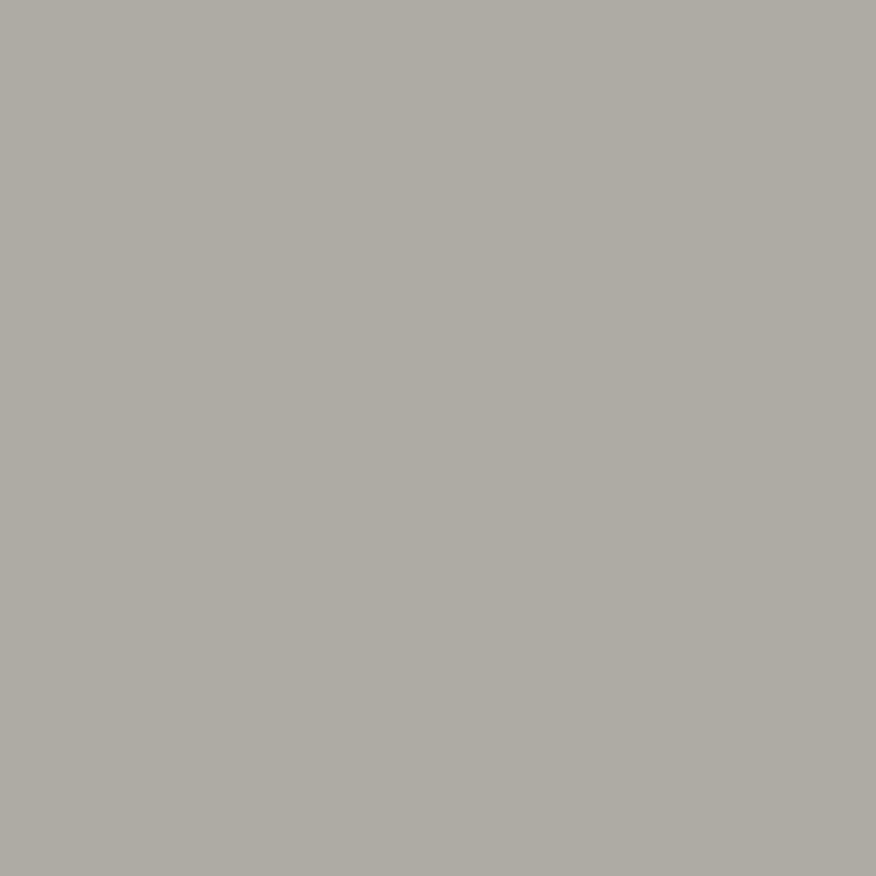 Acrylic Paint Matte Country Gry 8oz Apple Barrel