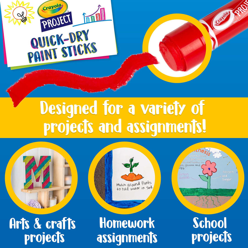 6ct Project Quick-dry Paint Sticks