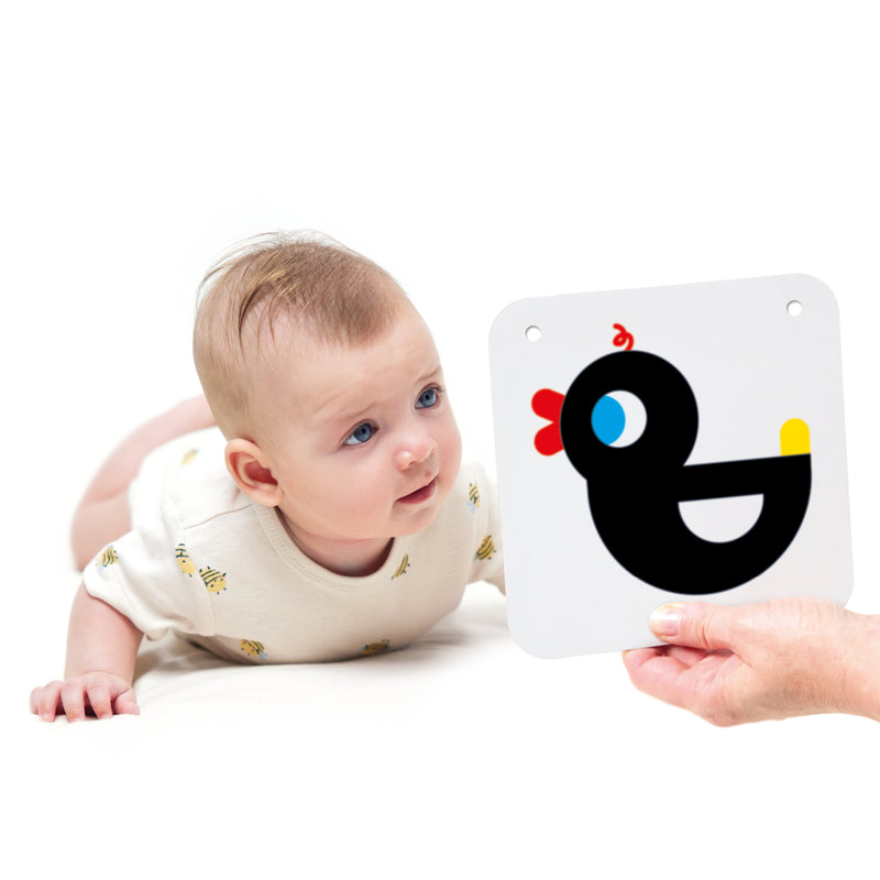 High Contrast Baby Cards