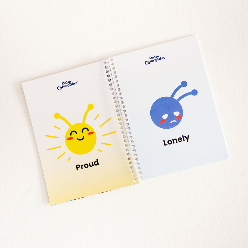 Feelings & Emotions Flashcards Kids