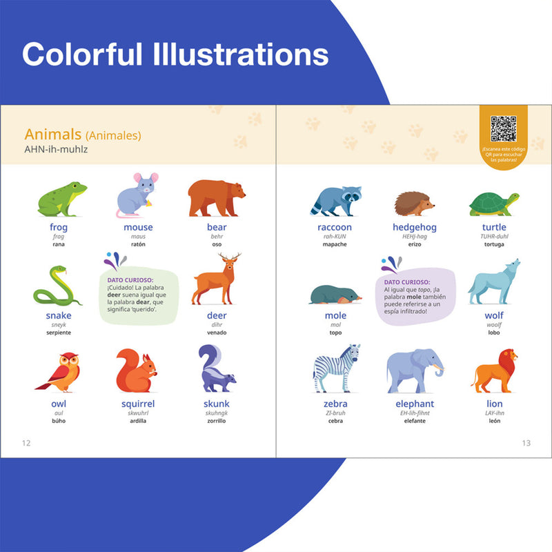 Rosetta Stone Ingles Diccionario Visual