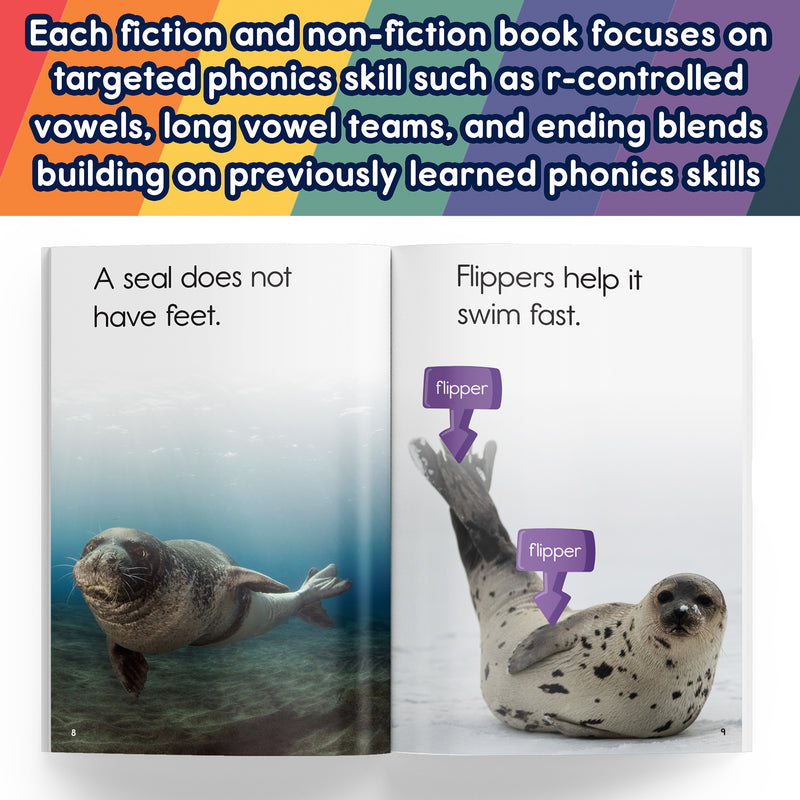 Spotlight Read Phonics Readrs Set C