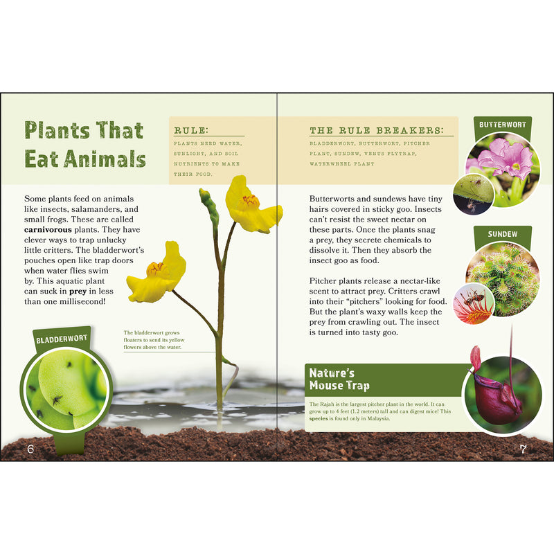 Plants That Break The Rules
