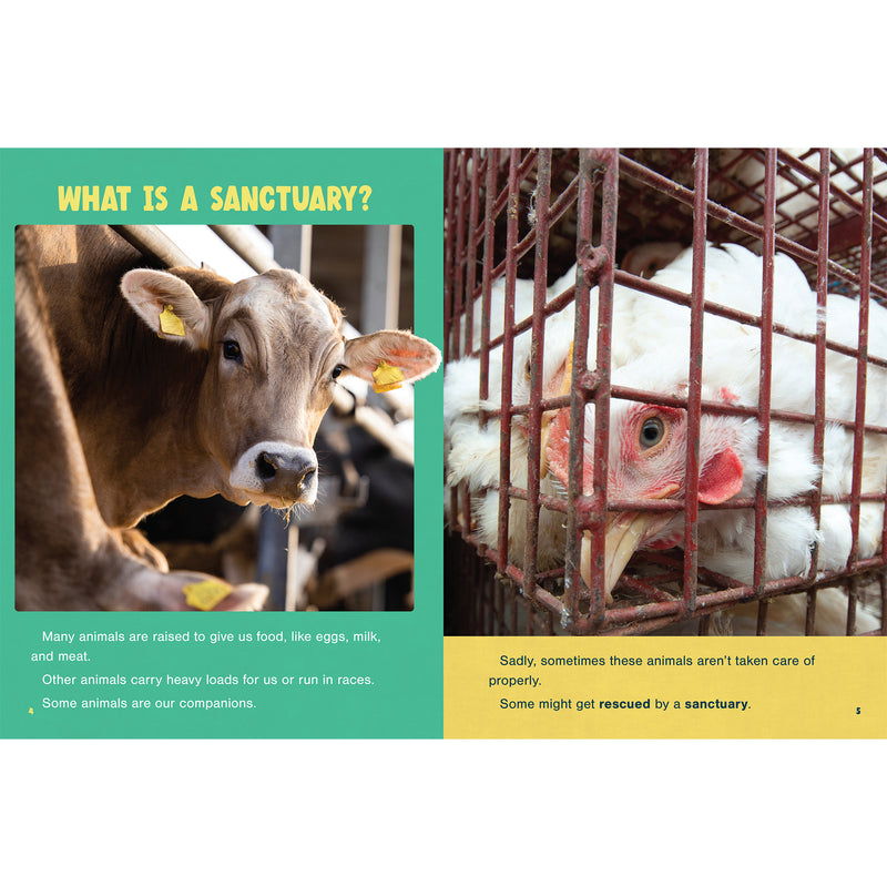 Farm Animal Sanctuaries