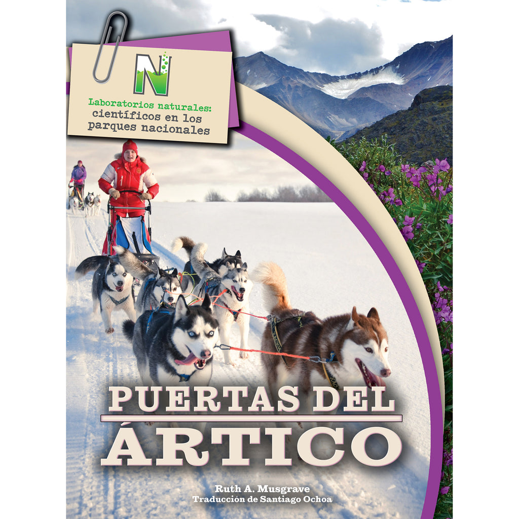 Puertas Del Artico