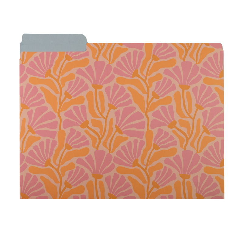 File Folders Assorted Designs 6/pk Signature Series