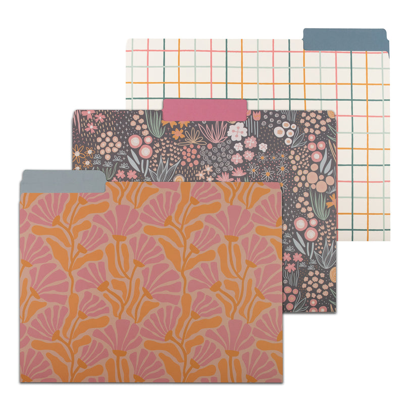 File Folders Assorted Designs 6/pk Signature Series