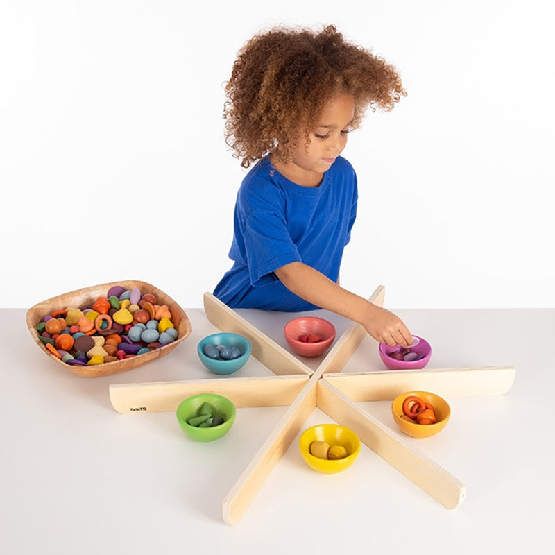 Wooden Discovery Dividers