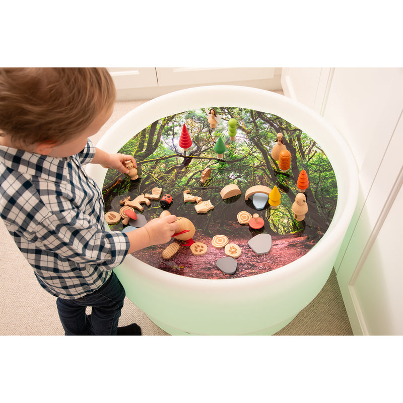 Forest Discovery Play Mat