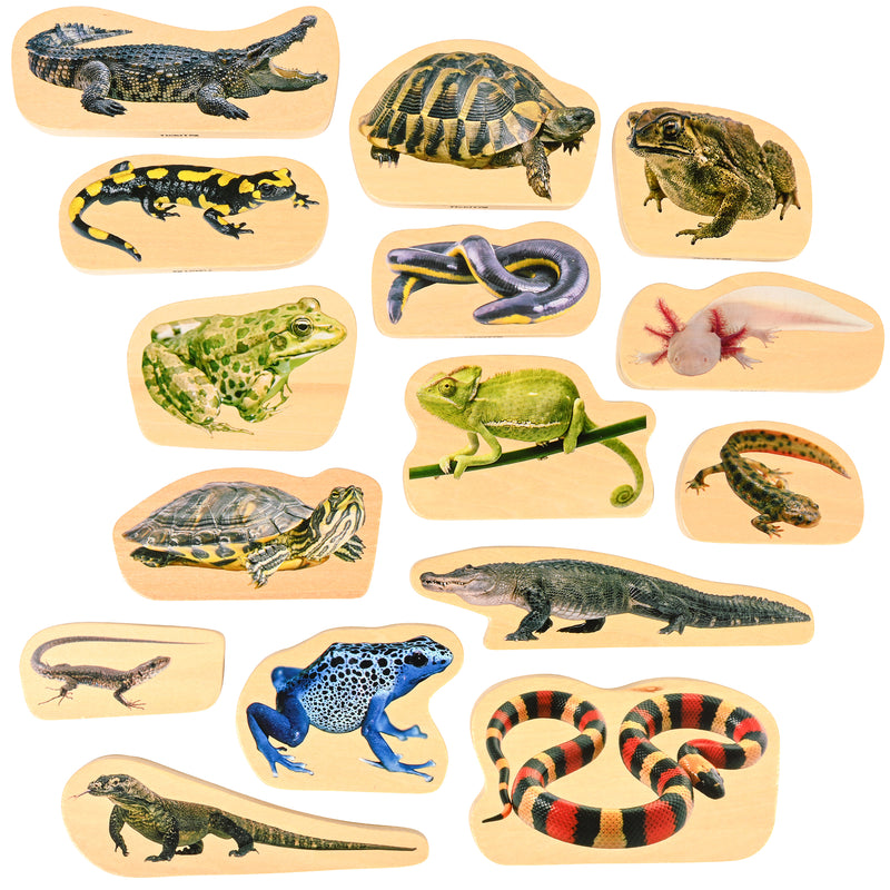 Wooden Reptile & Amphibian Blocks