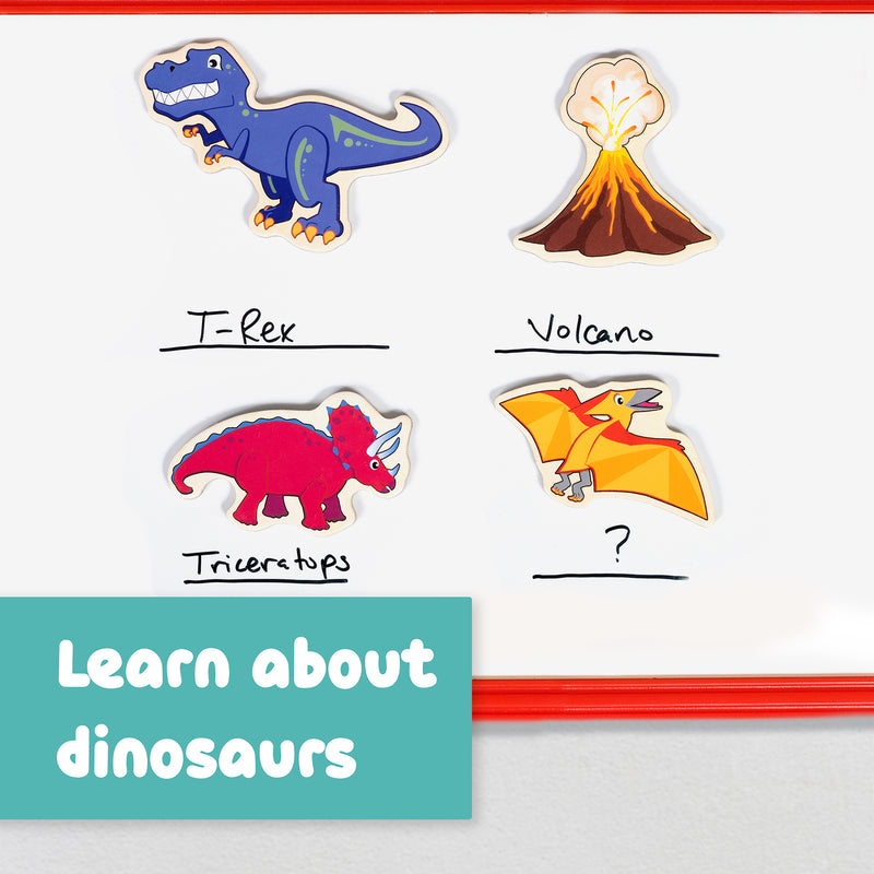 Wooden Magnets Dinosaurs 20/st