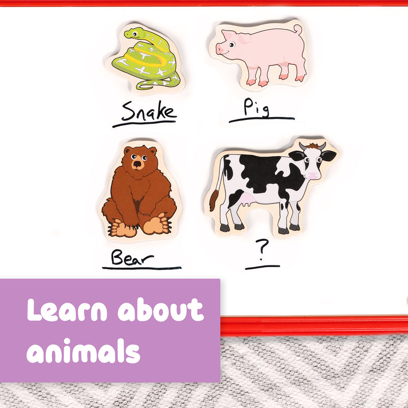 Wooden Magnets Animals 20/st