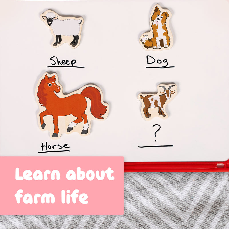 Wooden Magnets Farm 20/st