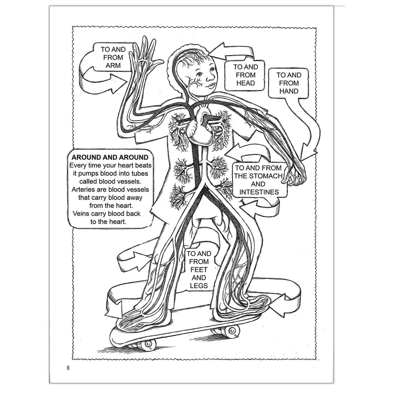 (6 Ea) My First Human Body Coloring