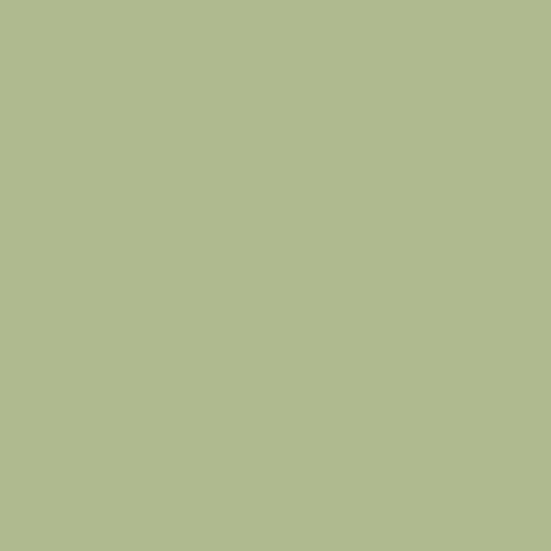 Acrylic Paint Matte Wild Wasabi 8oz Folkart