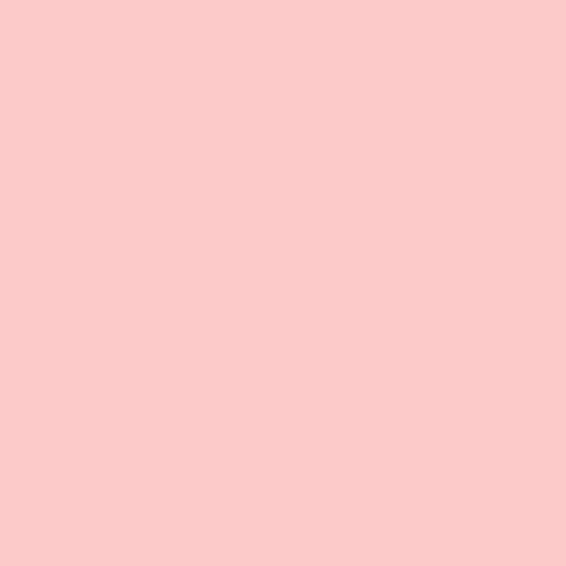 Acrylic Paint Matte Conch Shell 8oz Folkart