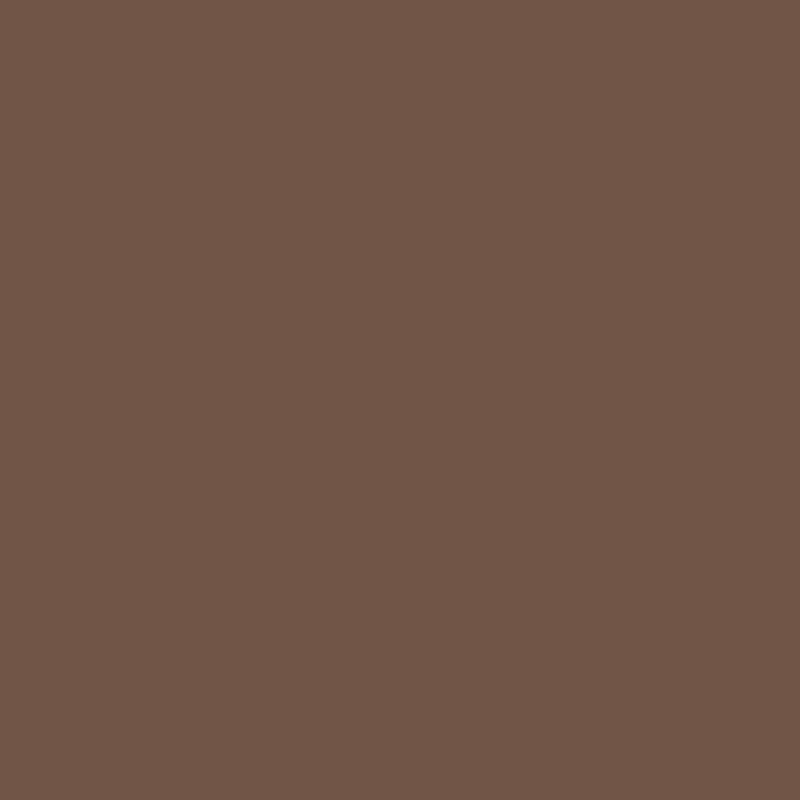Acrylic Paint Matte Coffee Bean 8oz Folkart