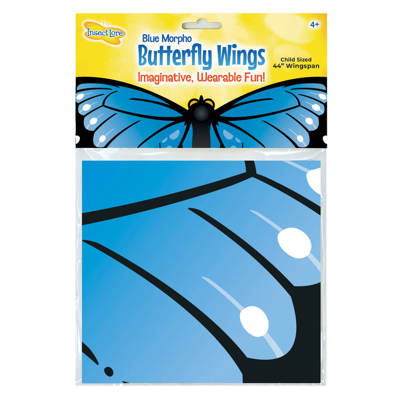 Blue Morpho Butterfly Wings