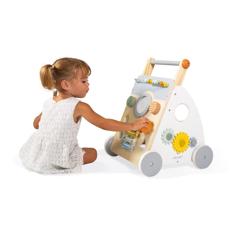 Multi Activity Baby Walker Sweet Cocoon