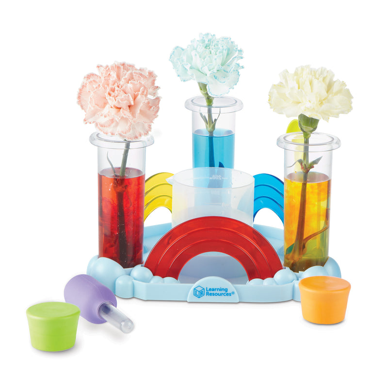 Preschool Science Lab Rainbow Reactions