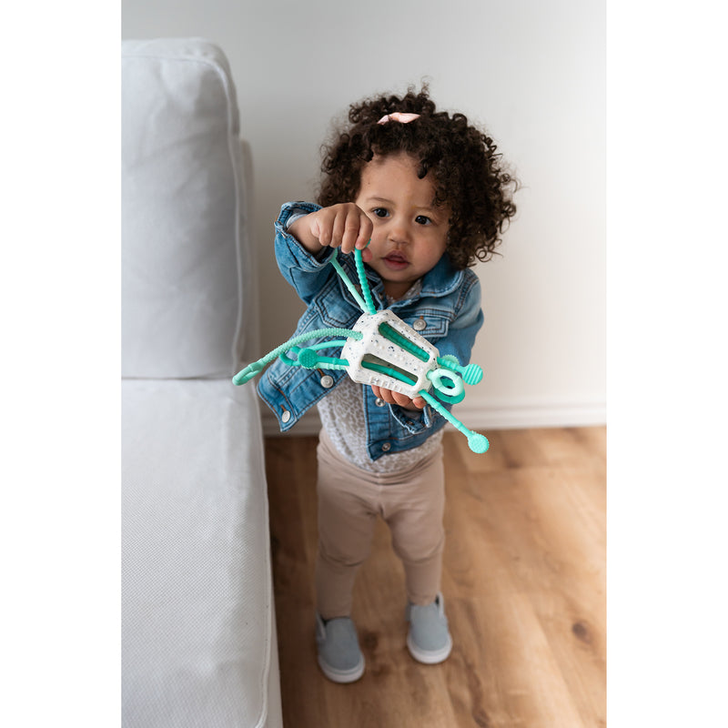 Mintee Zippee Activity Toy