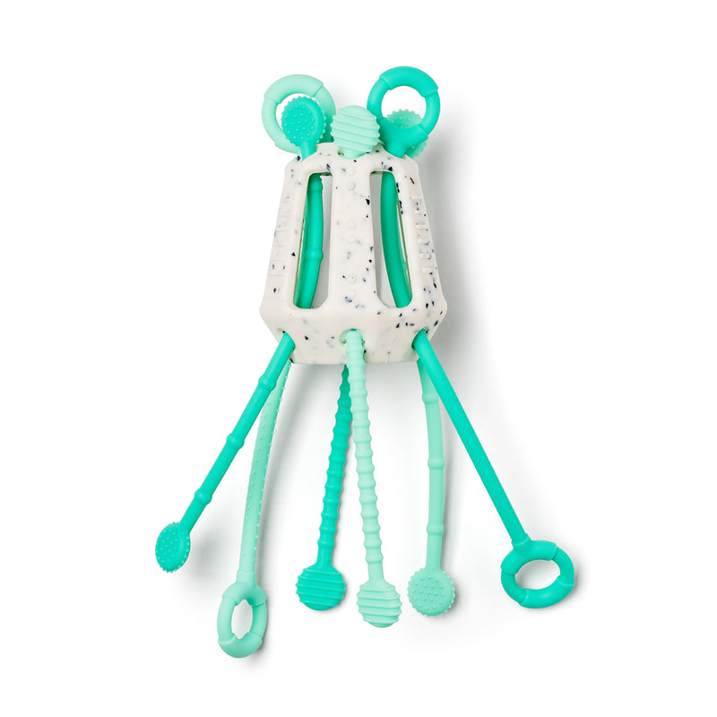 Mintee Zippee Activity Toy