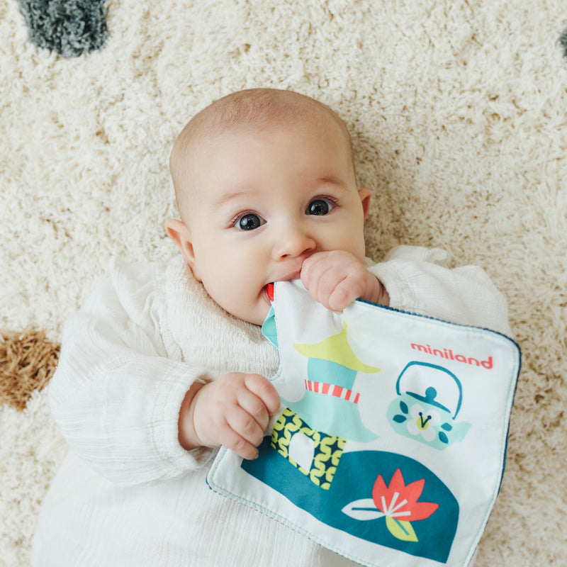 Sea Lion Crinkly Sensory Paper Feel To Learn