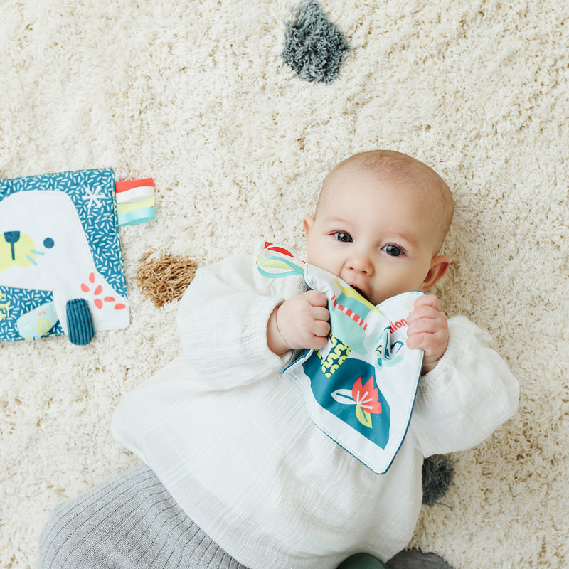 Sea Lion Crinkly Sensory Paper Feel To Learn
